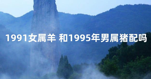 1991女属羊 和1995年男属猪配吗